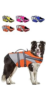 dog life jacket
