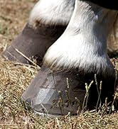 hoof horse clay thrush spray white line no thrush