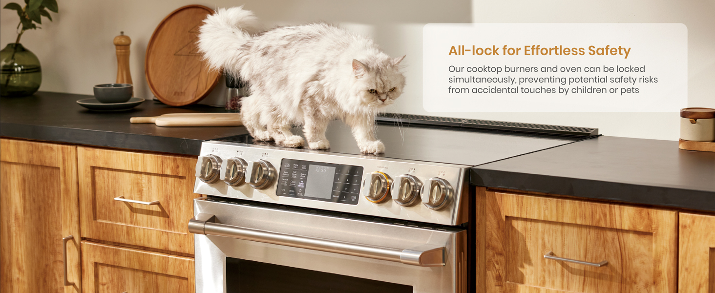 All-lock for Effortless Safety