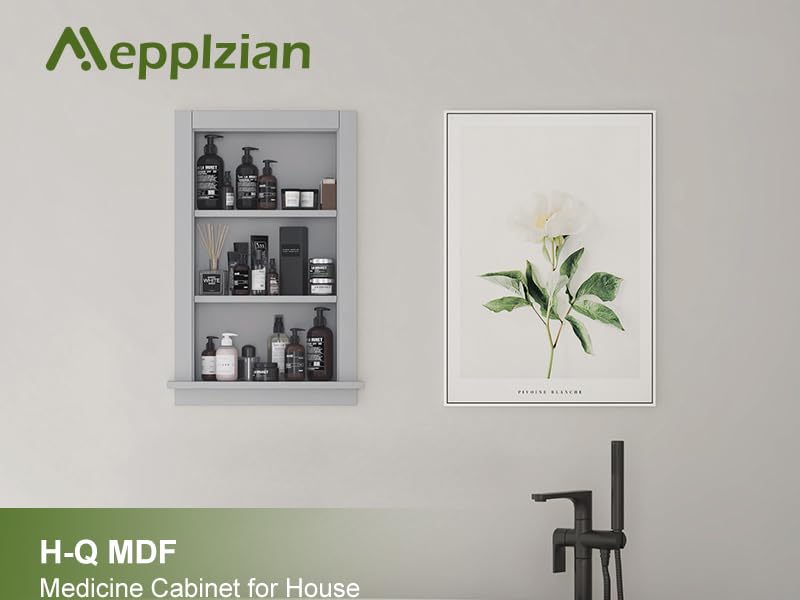 In Wall Shower Niche