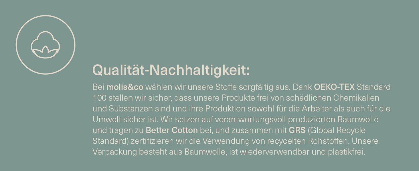 Textpanel in deutscher Sprache über Qualitäts- und Nachhaltigkeitsstandards, mit einem einfachen hellgrauen Symbol oben.