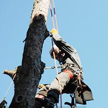 Small manufacture image 2