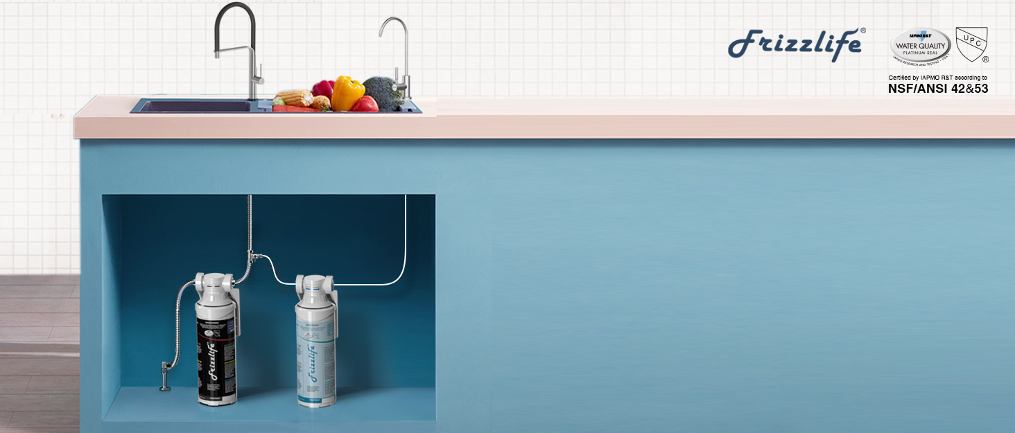 Frizzlife water filter