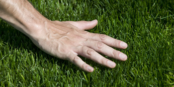 Small manufacture image 5