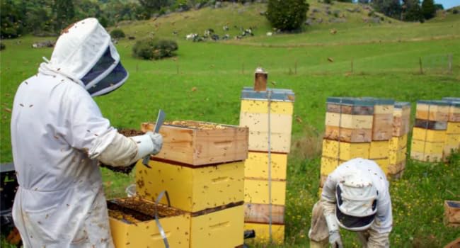 Large manufacture image 2