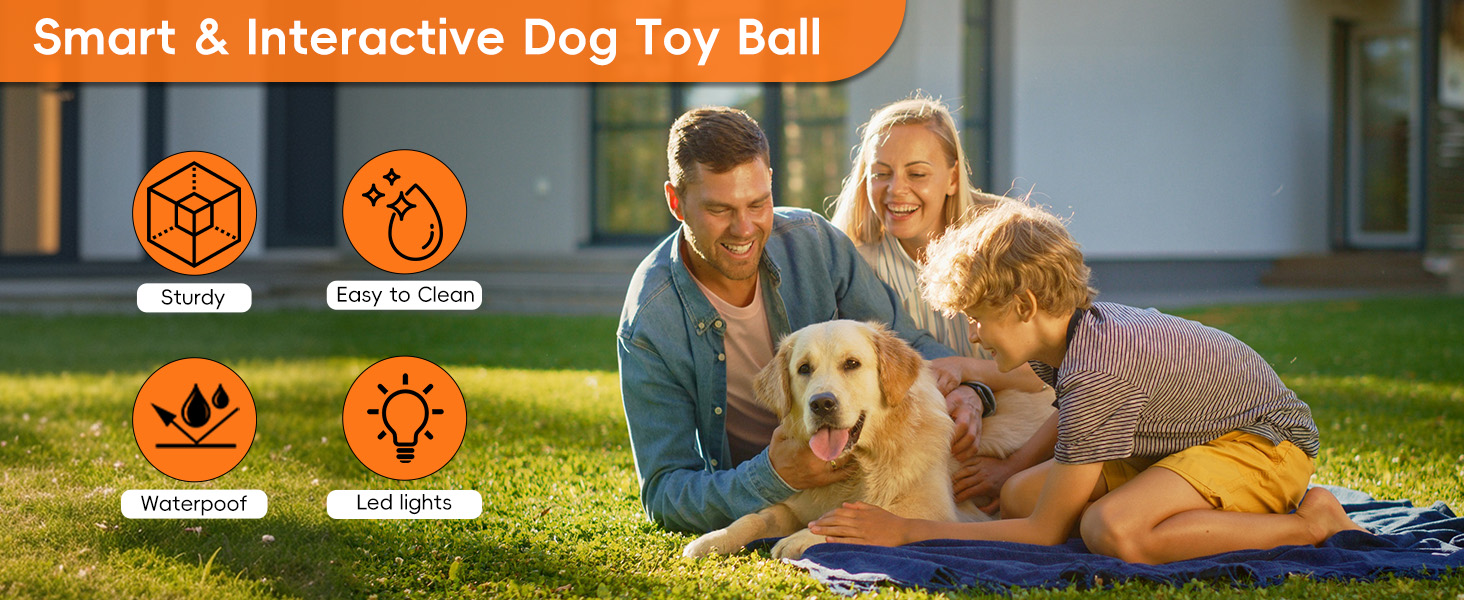 dog toy ball