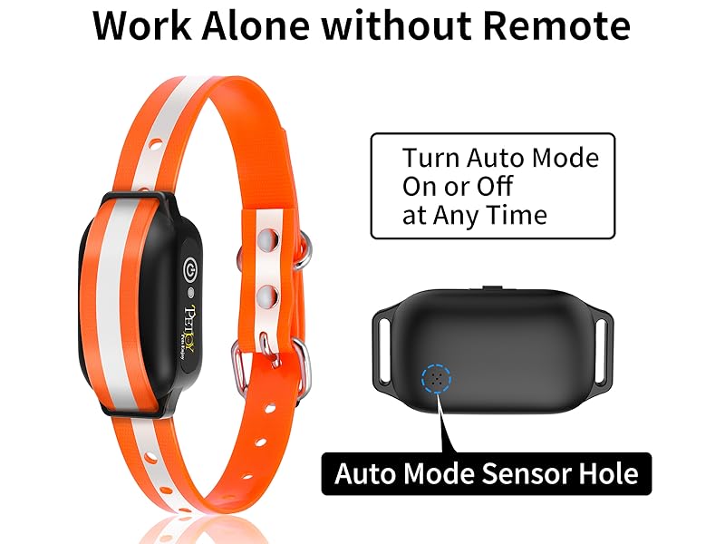 Bark Collar with Remote
