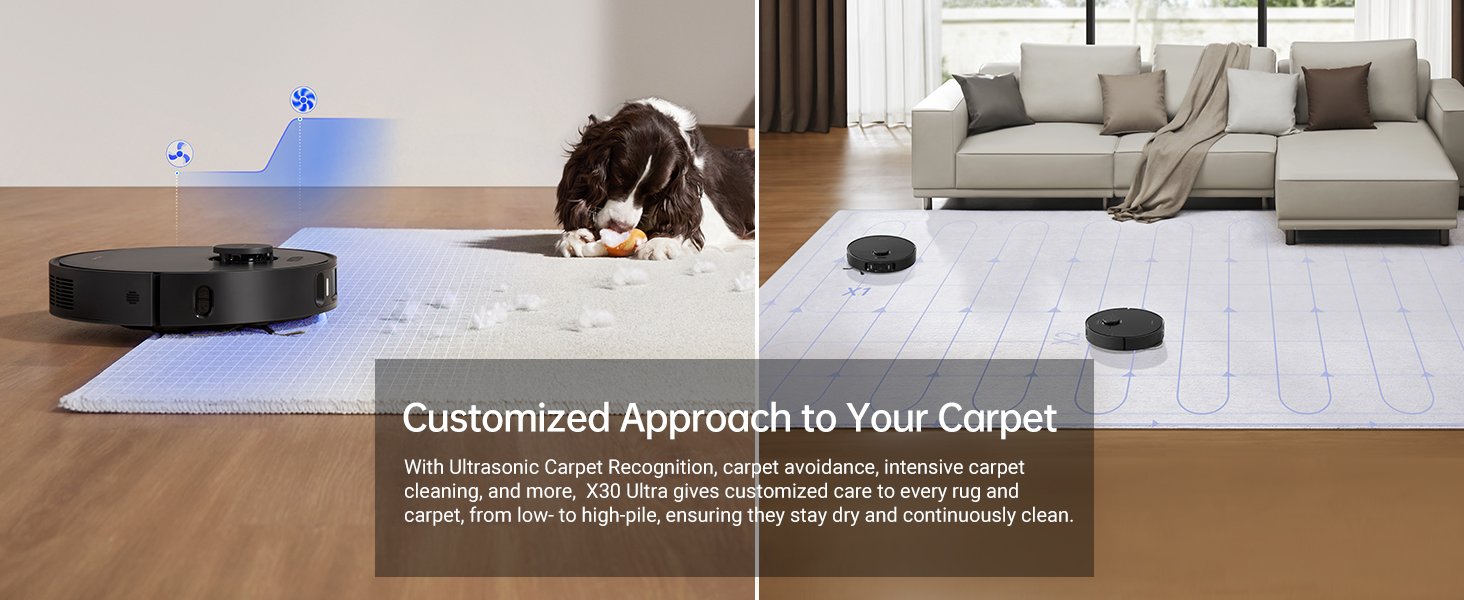 Smart Carpet Cleaning Strategy
