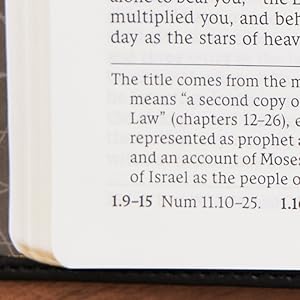 Bible book introductions study Helps Holy Bible Catholic Cross References