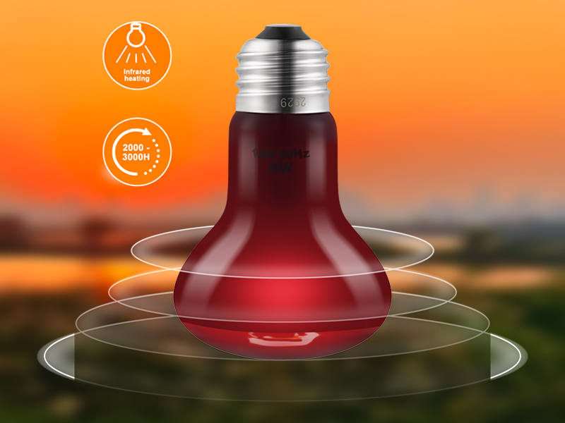 Nightlight Infrared Heat Emitter