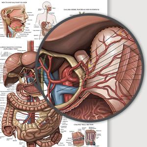 Small manufacture image 2