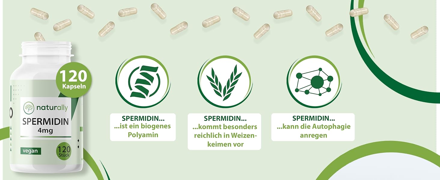 Spermidin Desktop Bild 3