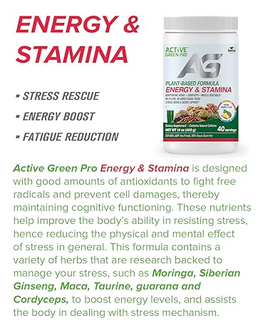 Energy & Stamina