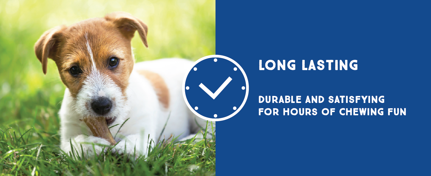 long lasting durable and satisfying for hours of chewing fun