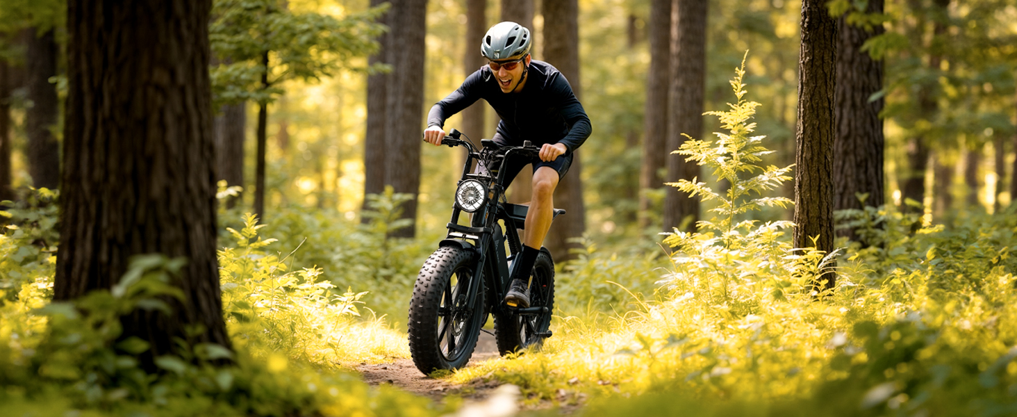 electric bike