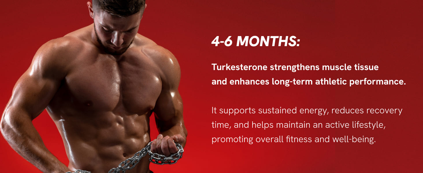 suplemento para ganar masa muscular pterostilbene organic pterostilbene ajuga turkest extract powder
