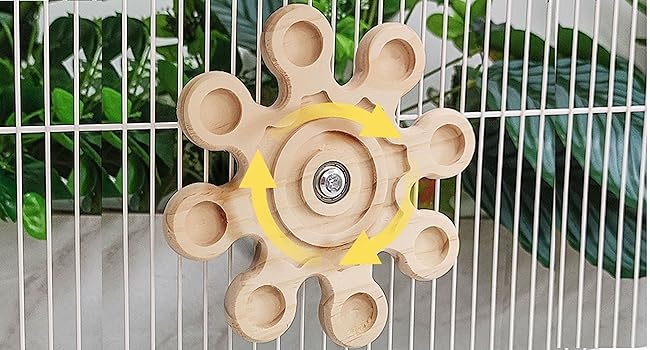 chinchilla exercise toys