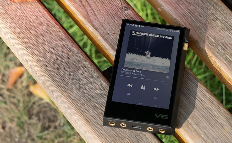 TempoTec V6 reproductor de música digital de audio de alta resolución ...
