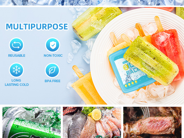 ice packs for lunch box