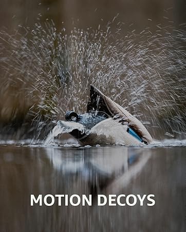 motion decoys
