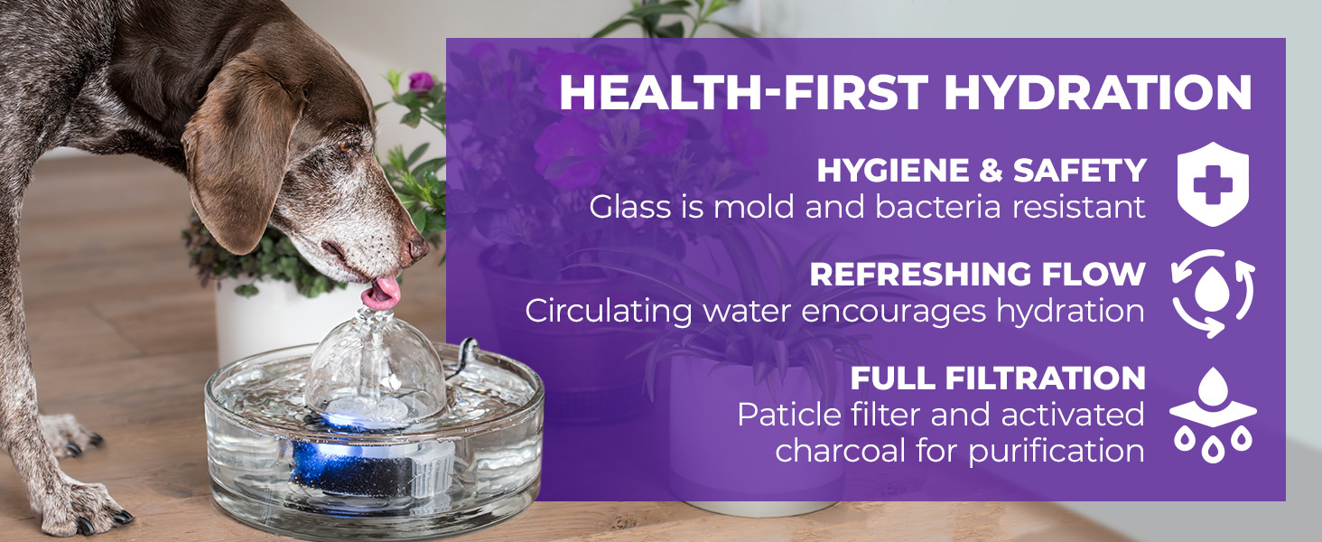 Glass cat fountain automatic dog fountain and pet fountains for cats and small dogs