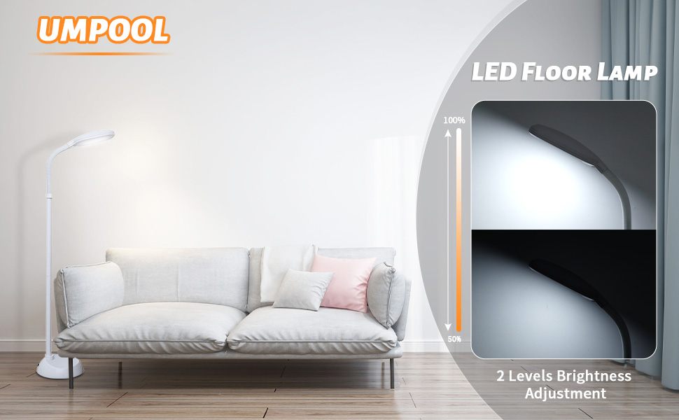 LED Floor LAMP