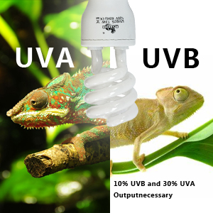 10% UVB and 30% UVA Output