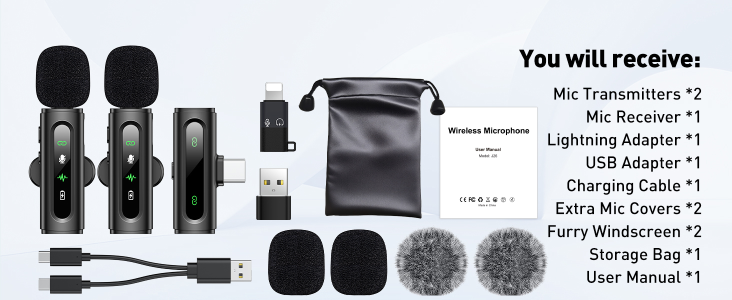 mini mic