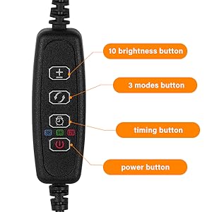 Plant light timing mode