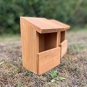 bird house