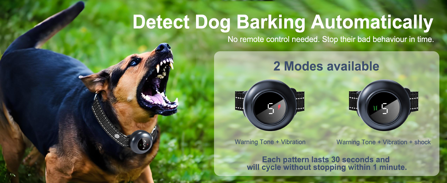 dog bark collar