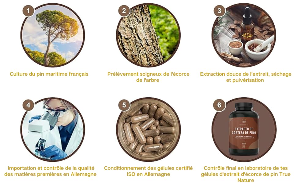Extrait Écorce de Pin - 500mg - 95% OPC - Vitamine C - 180 Gélules - Circulation & Respiration - Vegan - TRUE NATURE