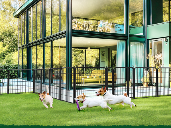 Amazon.com : Yaheetech Dog Playpen Outdoor, 32 inch 12