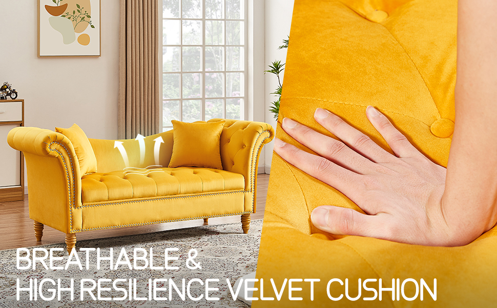 Homies Life Loveseat Sofa with Storage, Classic Velet Couch with 2 Throw Pillows, 70