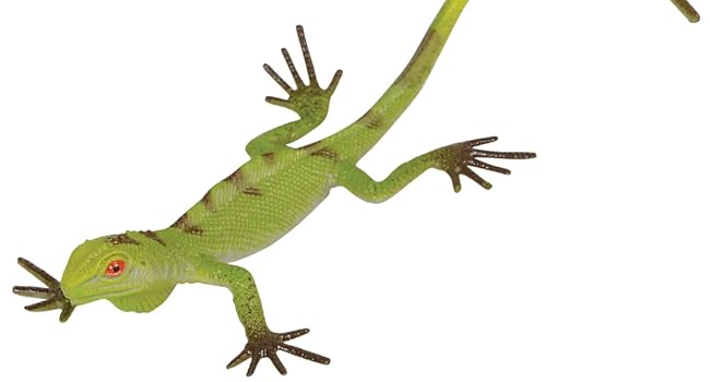 Green LIzard