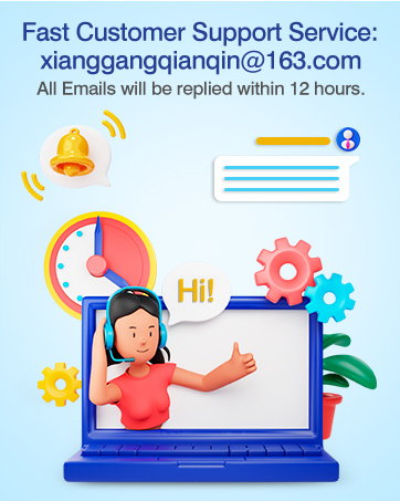 fast customer support service