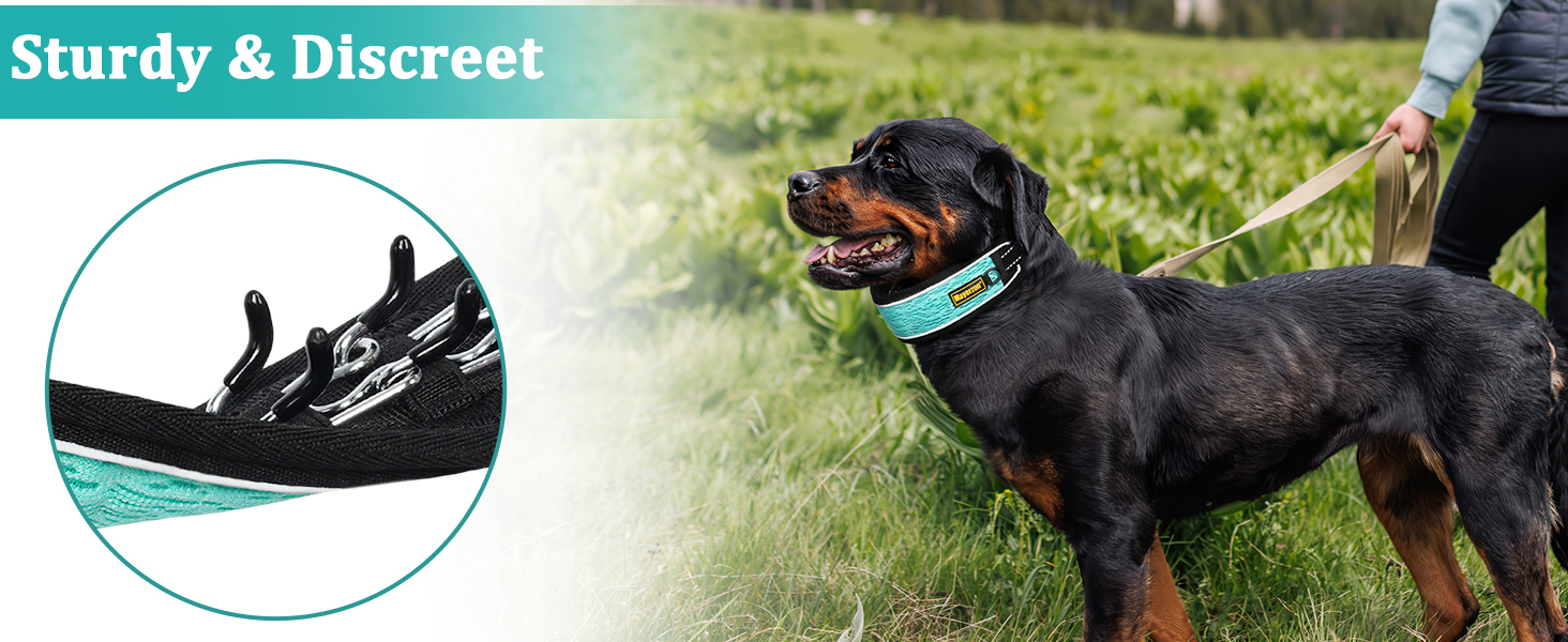 Martingale No Pull Dog Collar for Large Medium Dogs