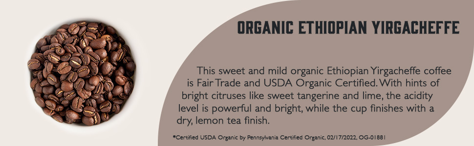 Organic Ethiopian Yirgacheffe description