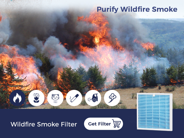 Smoke Filter