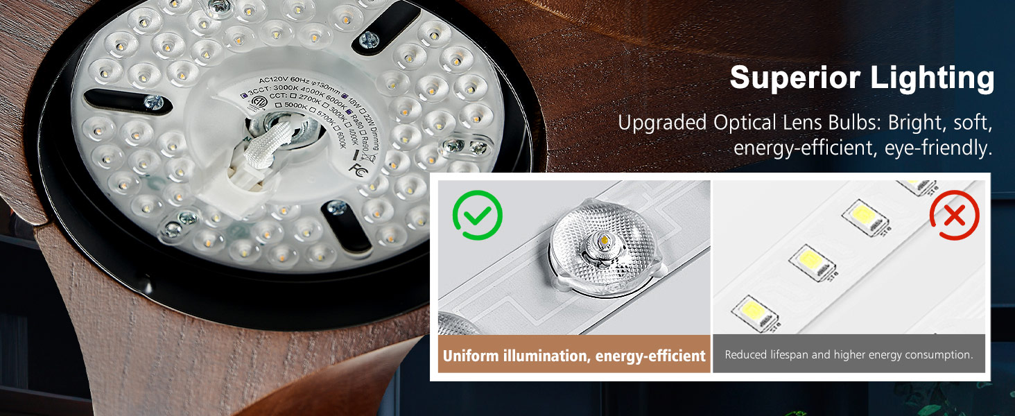 ceiling fan with light