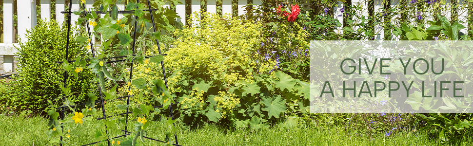 Garden Trellis for Climbing Plants Outdoor