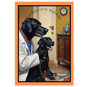 The Story of Dr. Brahmsy