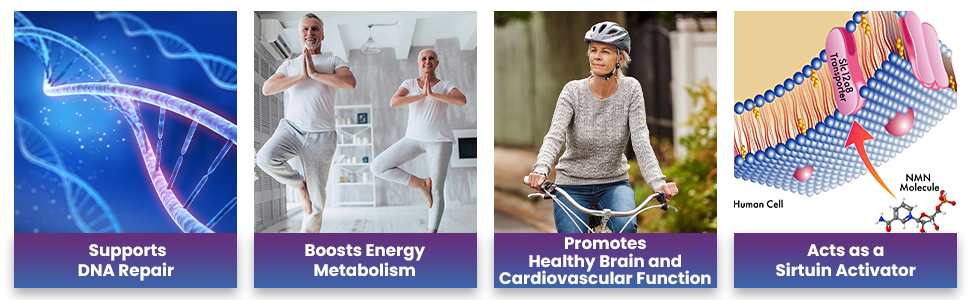 Benefits of our supplements