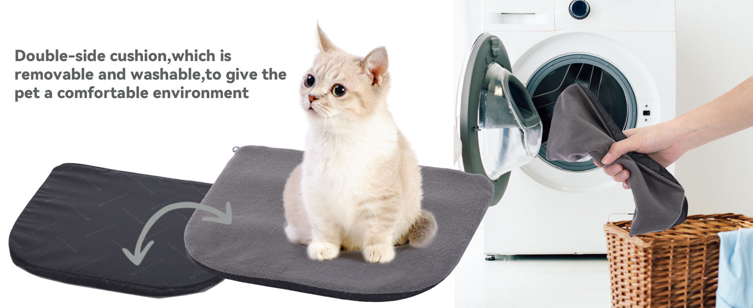 cat backpack carrier