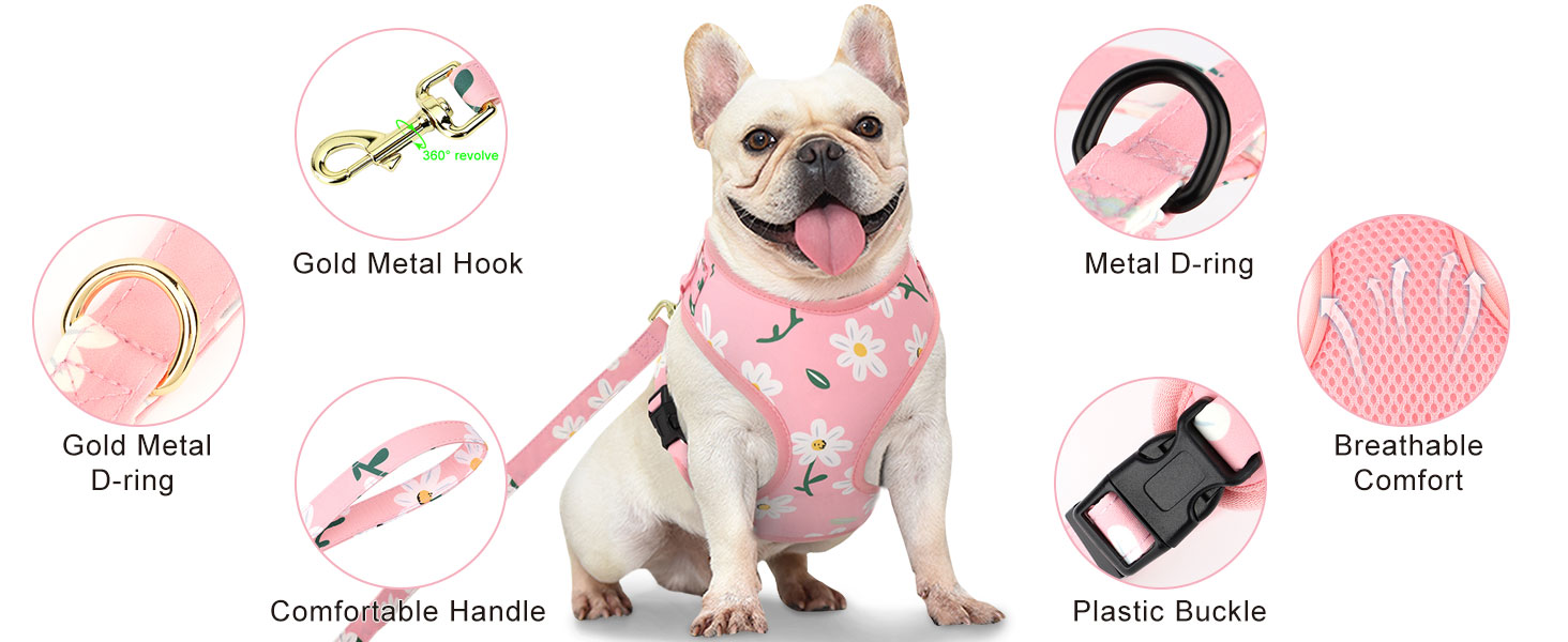 Beirui Cute Floral Pattern Girl Dog Harness and Leash Set