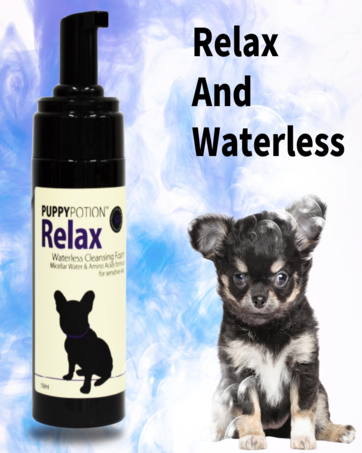 【新品】PUPPY POTION 犬用シャンプー＆コンディショナー Amazon | [PUPPYPOTION] 犬用 シャンプー 天然成分100