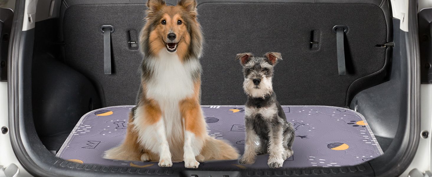 UPSKY Washable Pee Pads for Dogs 2 Pack Reusable Puppy Pads