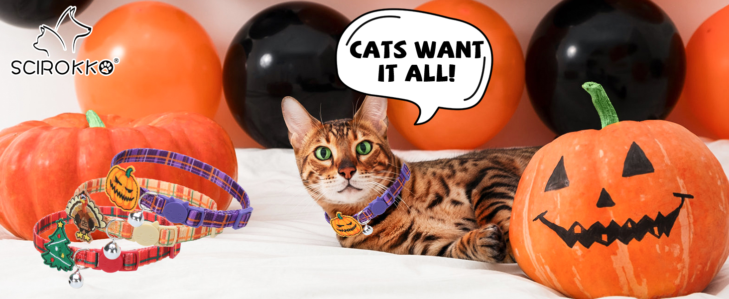 Halloween cat collar