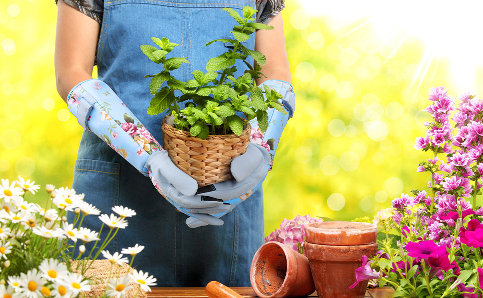 gardening gloves for women thorn proof thorn proof gloves cactus gloves womens garden gloves