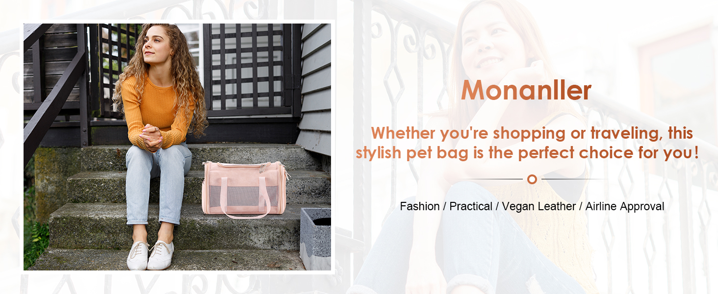 Fashion Leather Dog Carrier